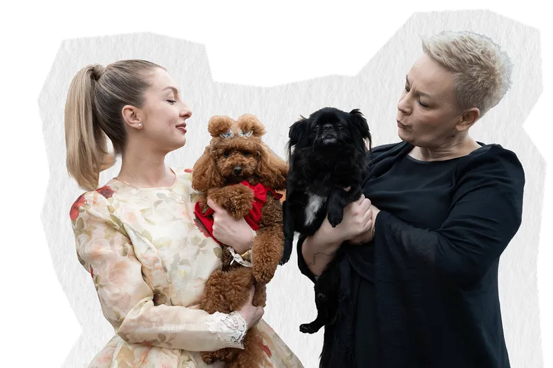 La Bestia Hero Image